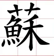 苏炳添终场绝投塔图姆，观众欢呼！经典一战再现传奇的简单介绍