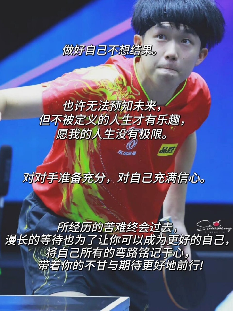 爱游戏（ayx)电竞国家队打破历史纪录，国乒教练泪洒赛场