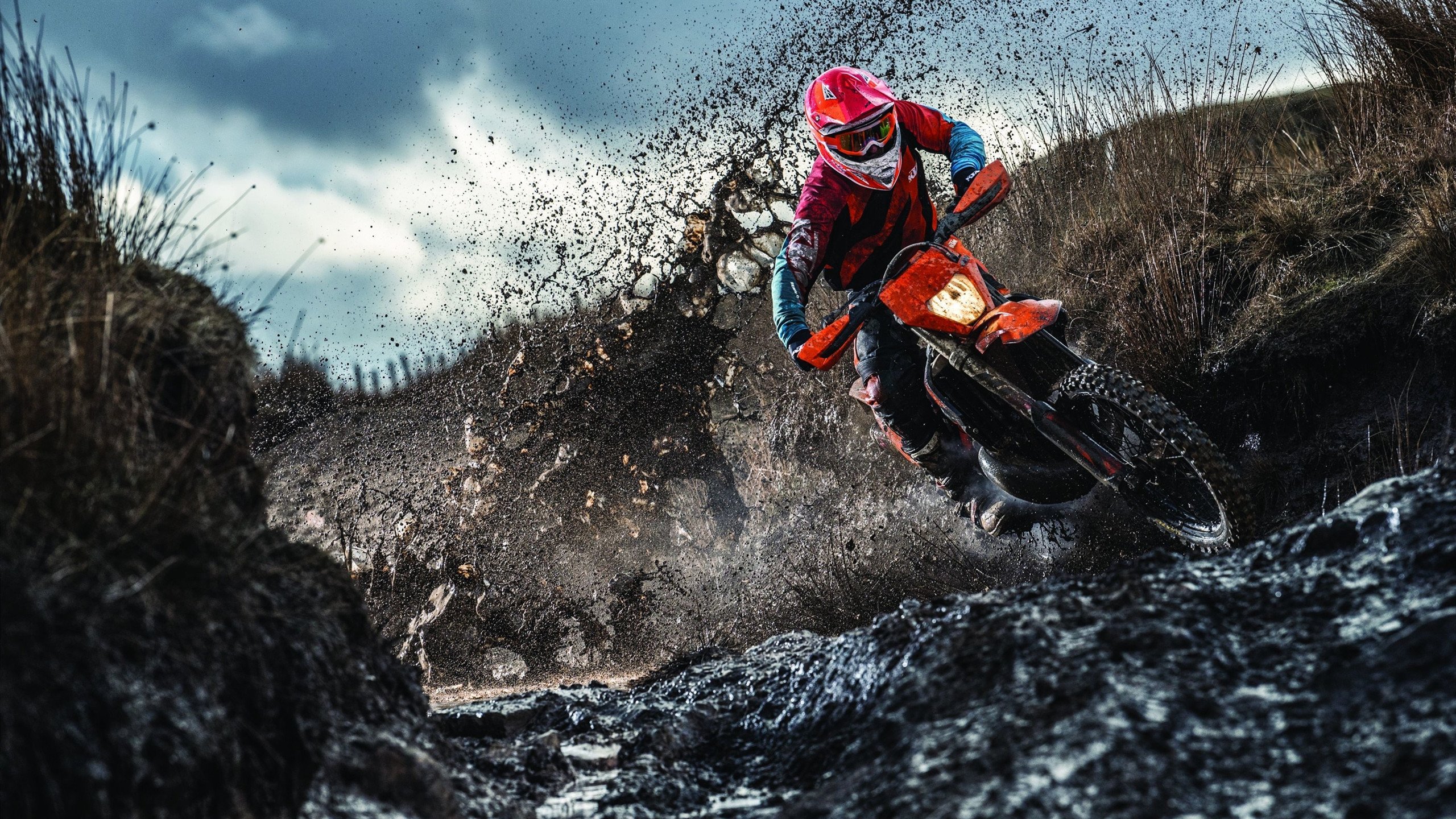 热火观众热烈欢呼!,JackeyLove迎来十二赛季出色发挥全场沸腾不已