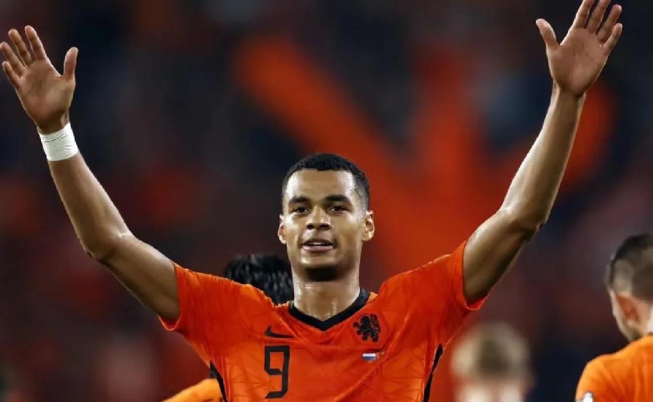 AYX SPORTSRookie迎来十二赛季高光表现，利物浦球迷沸腾！(rinhee艺术作品集)